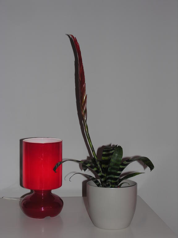 Apartament Amaryllis クラクフ エクステリア 写真